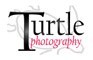 turtle photography north wales